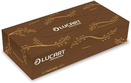 Image de MOUCHOIRS PAPIER ECONATUREL 100 V BOITE DE 100 - CT DE 4000