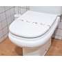 Image de BANDE SANITAIRE WC DESAGREGEABLE 62 x 6.5 CM - PACK DE 1000
