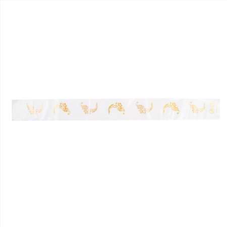 Image de BANDE SANITAIRE PLASTIQUE POUR ABATTANT WC - PAQUET DE 1000