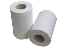 Image de MINIMAINS ESSUIE MAINS 150 FTS 2 PLIS 20X30 - BALLOT 12 RLX