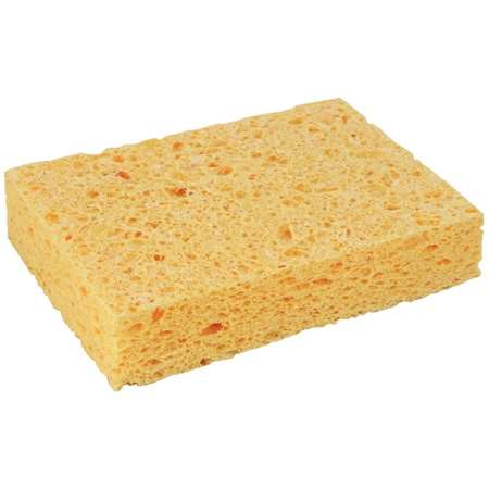 Image de EPONGE VEGETALE N° 4 (MOYEN MODELE) 127X89X26 MM - LOT DE 10