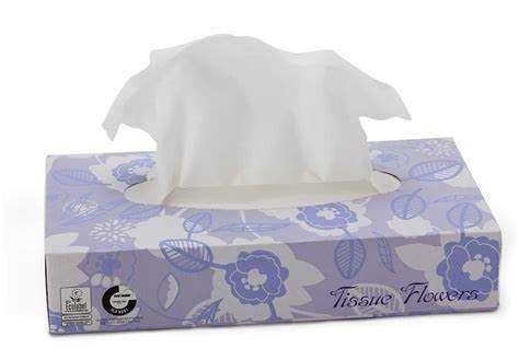 MOUCHOIR PAPIER BLANC 2 PLIS BOITE DE 100 - CARTON 40 BTES